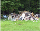 Pile of debris along a tree line