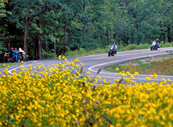 Mount Magazine Motorcycles and Flowers