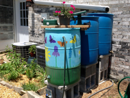 Examples of rain barrels in use in a backyard setting