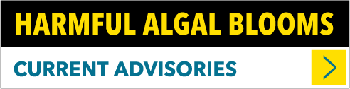 Harmful Algal Bloom Advisories