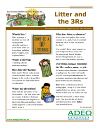Litter and the 3 R's