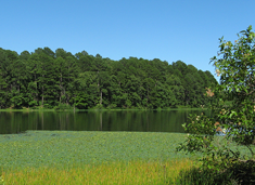 Getting lab data in the field.