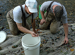 Staff cleans a bucket during a water quality assessment outing